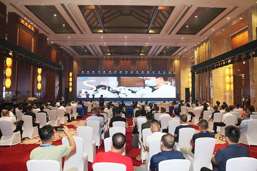 海南數字文化產業(yè)交流會成功舉辦 以數字化賦能文化產業(yè)高質量發(fā)展