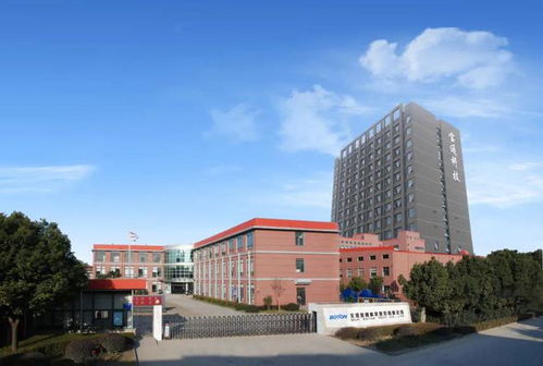 胡潤中國元宇宙潛力企業(yè)榜,高新區(qū)3家企業(yè)入選